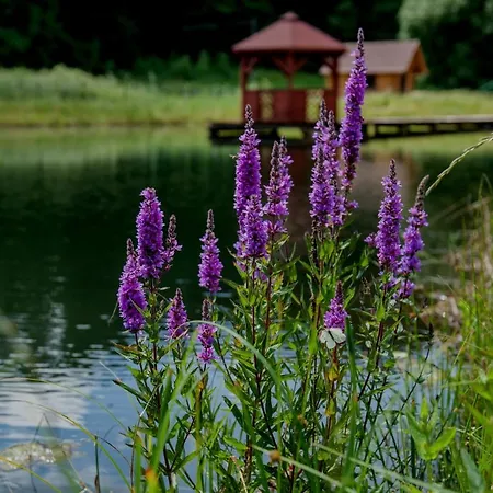 Ranczo Czerwony Mlyn & Feriegård Zdow