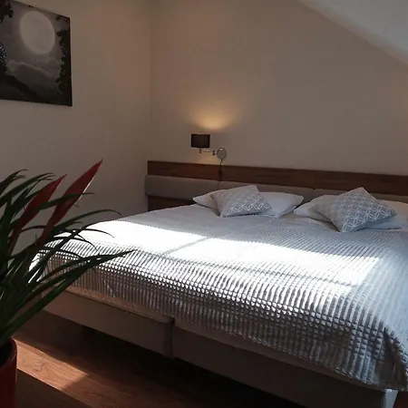 Ranczo Czerwony Mlyn & Farm stay