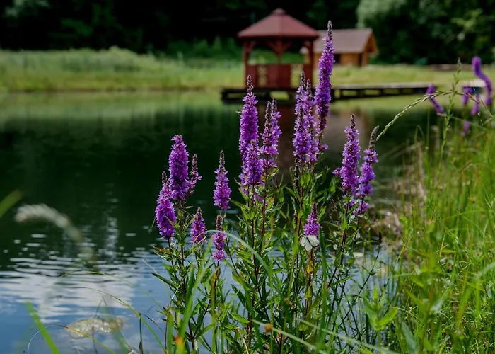 Ranczo Czerwony Mlyn & Agroturismo Zdow