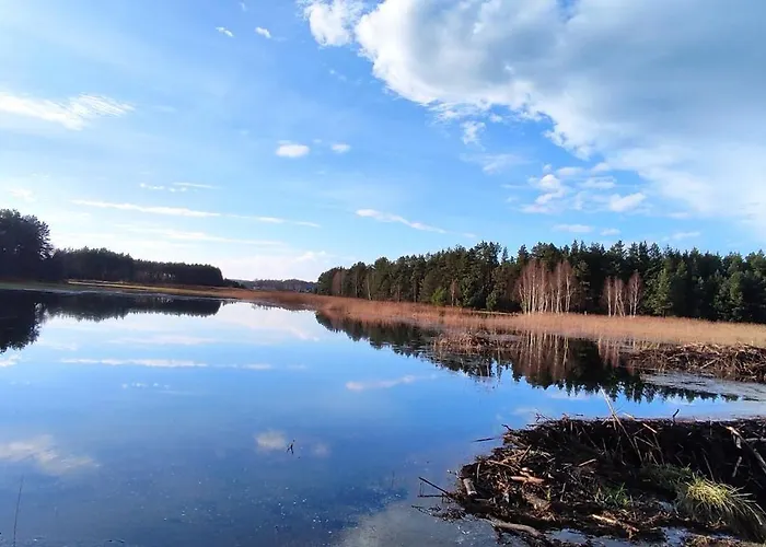 Ranczo Czerwony Mlyn & Agroturismo Zdow