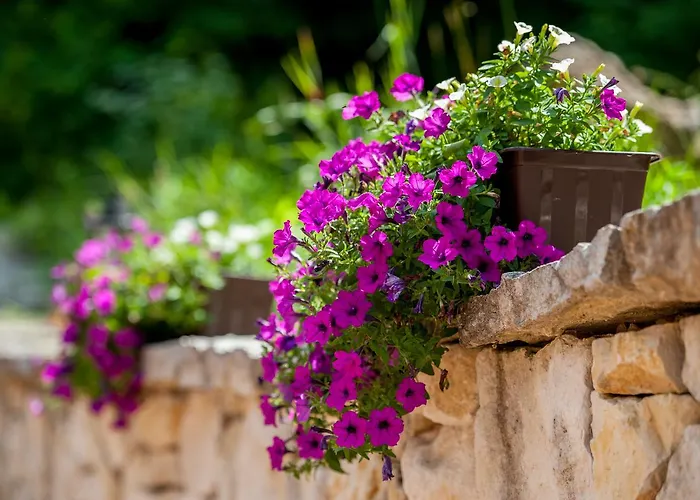 Ranczo Czerwony Mlyn & * Zdow